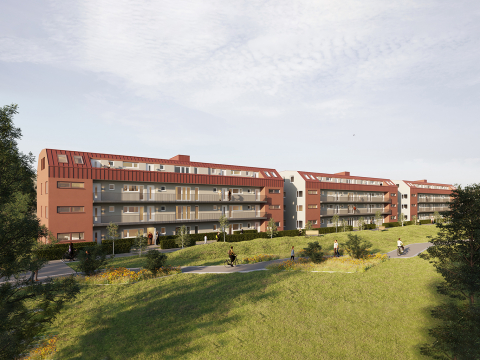 Grönskande omgivningar